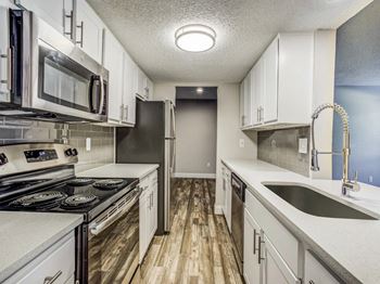 Stainless steel appliances*